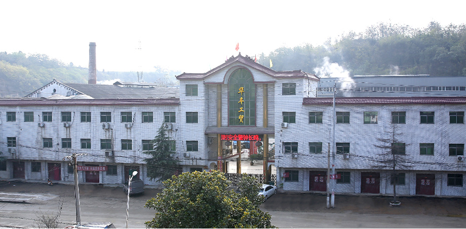 公司簡介